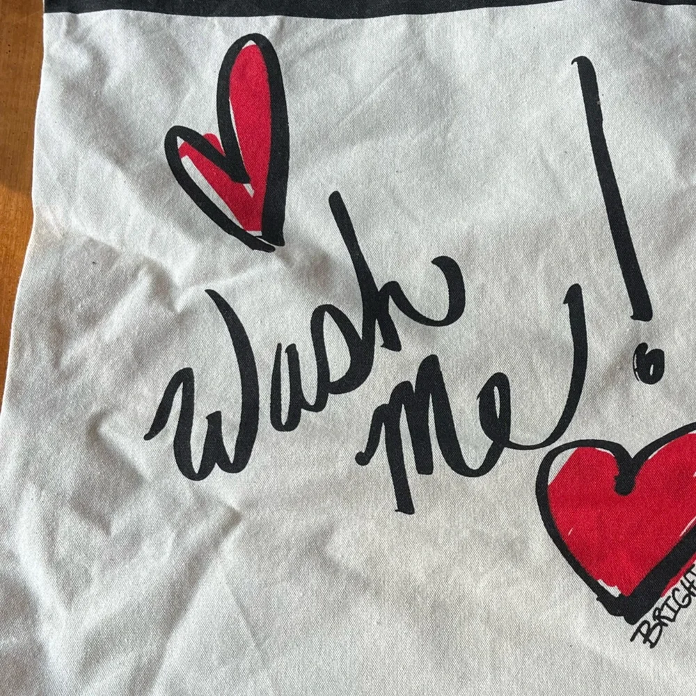 Travel Laundry Bag for Small Loads of Delicates.